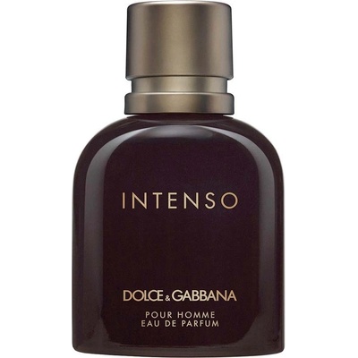 Dolce & Gabbana Intenso parfumovaná voda pánska 75 ml