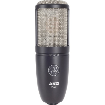 AKG P 420