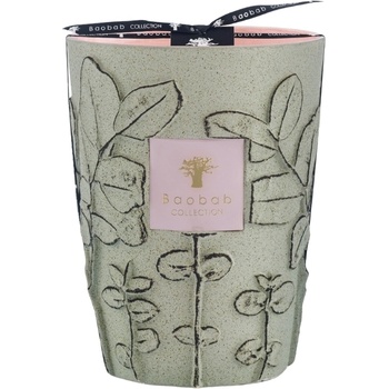 Baobab Collection Folia Maquis Ароматна свещ 24 см (MAX24FMAQ)