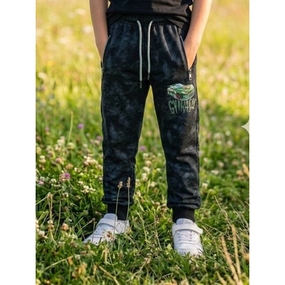 Kugo Trendy chlapecké tepláky ZT8836 šedé s autem