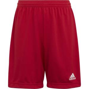 adidas Ent22 sho y 140