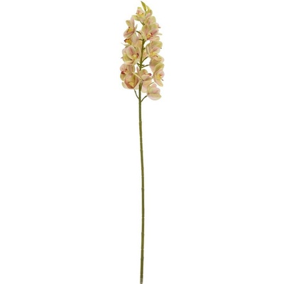 KS ORCHIDEA 80CM SVETLO ZELENO-RUŽOVÁ