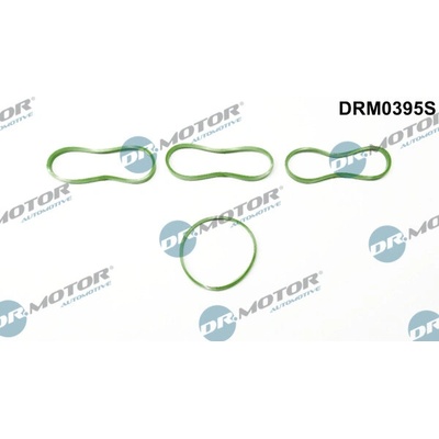 DR.MOTOR AUTOMOTIVE Sada tesnení kolena nasávacieho potrubia DRM0395S