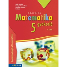 Sokszínű matematika gyakorló 5. - 1. kötet