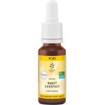 Lemon Pharma Sweet Chestnut Цветна есенция N°30, 20 ml, Lemon Pharma (181304 LP)