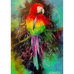 Enjoy - Puzzle Colorful Parrot - 1 000 piese