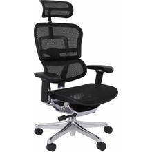 Grospol Ergohuman 2 Elite ST BS