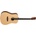 Tanglewood TM5