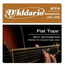 D'addario EFT13