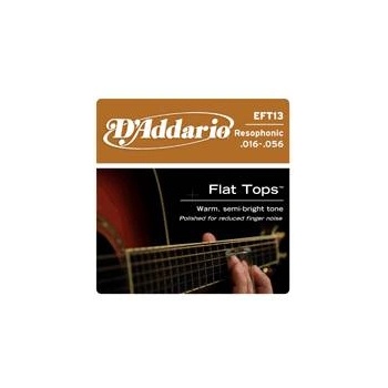 D'addario EFT13