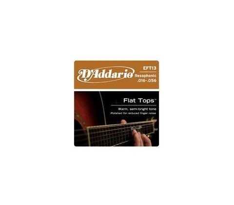 D'addario EFT13