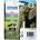 Epson T2426