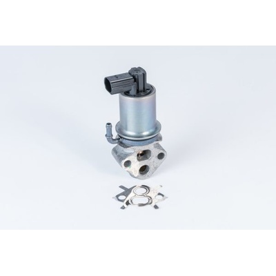 AGR-Ventil BorgWarner (Wahler) 710788D0