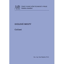 Ocelové mosty - Pavel Ryjáček