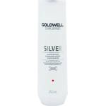 Goldwell Dualsenses Silver Shampoo 250 ml