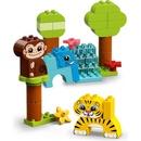Лего LEGO® DUPLO® - Creative animals (10934)