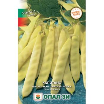 Opal Zi Фасул Капитано (жълт, плосък, нисък)