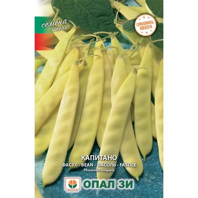 Opal Zi Фасул Капитано (жълт, плосък, нисък)