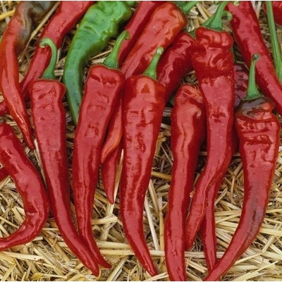 ? ️ Семена от люти чушки Кайен Лонг Слим (Cayenne Red-Long Slim) - 25 броя (208140)