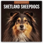 Browntrout Verlags GmbH Shetland Sheepdogs - Sheltie 2026 - 16-Monatskalender | Red Robin