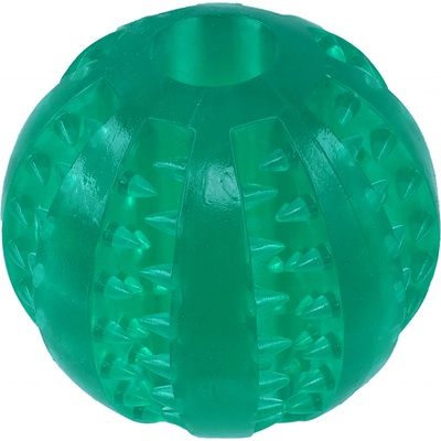 Dog Fantasy Dental Mint zelený 5 cm