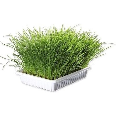 TRIXIE Miska s trávou pre mačky 130 g