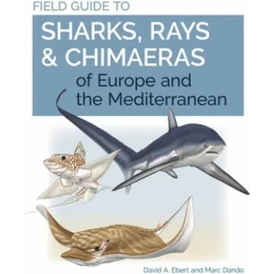 Field Guide to Sharks, Rays & Chimaeras of Europe and the Mediterranean | Marc Dando (ISBN: 9780691205984)