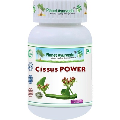 Planet Ayurveda Cissus Power 60 kapsúl