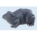 Pontec chrlič vody žába