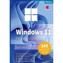 Windows 11