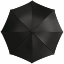Dáždnik čierny