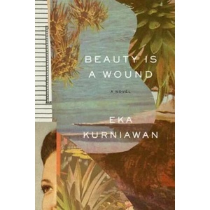 Beauty Is a Wound (ISBN: 9780811223638)