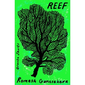 Reef | Romesh Gunesekera (ISBN: 9781803513584)