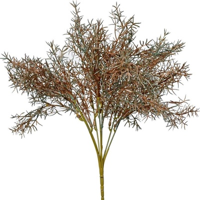 ZÁPICH ASPARAGUS ZELENOMEDENÁ 37CM SUPER CENA!