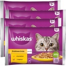 Whiskas Cat hydinový výber Kuracie Kačacie Morčacie v želé 4 x 85 g
