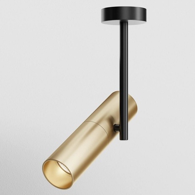 MAYTONI C020CL-01GB