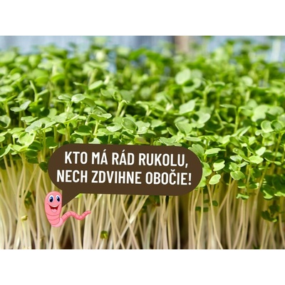 Rukola Bio hmotnosť: 50g