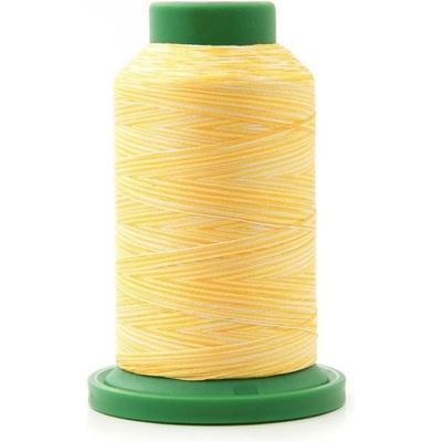 9925 - multicolor - vyšívacia niť ISACORD