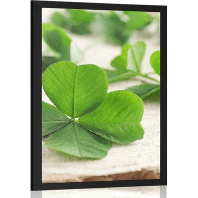 Plakát zelené čtyřlístky - 40x60 no frame