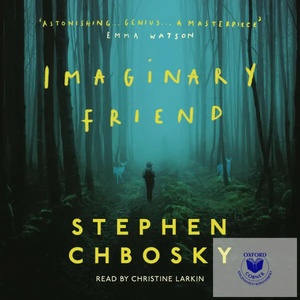 Imaginary Friend (ISBN: 9781409184829)