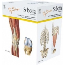 Sobotta Lernkarten für Physiotherapeuten