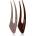 Janeke Hair Clip фиби за коса Brown 2x13 см