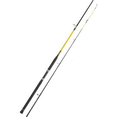 WFT Never Crack SENSO PILK 2,7 m 50-160 g 2 díly