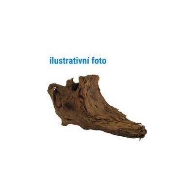 Tatrapet kořen Elbasia L Driftwood 35-40 cm