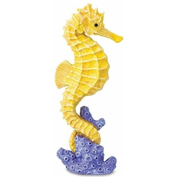 Safari Seahorse
