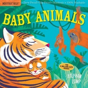 Indestructibles: Baby Animals | Amy Pixton, Stephan Lomp (ISBN: 9780761193081)