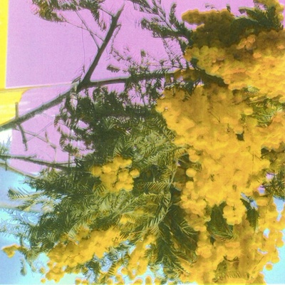 Four Tet: Into Dust (Still Falling) LP