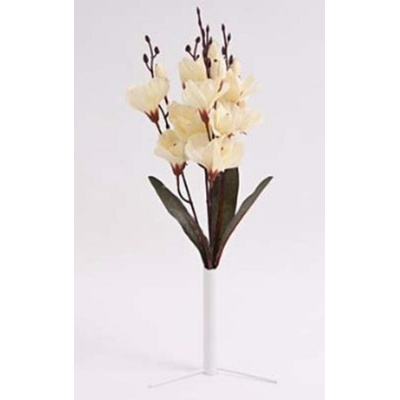 Kytice gladiol 371431-26