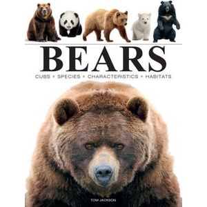 BEARS | JACKSON TOM (2024)
