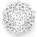 SLAMP CLI78PLF0003MN_000